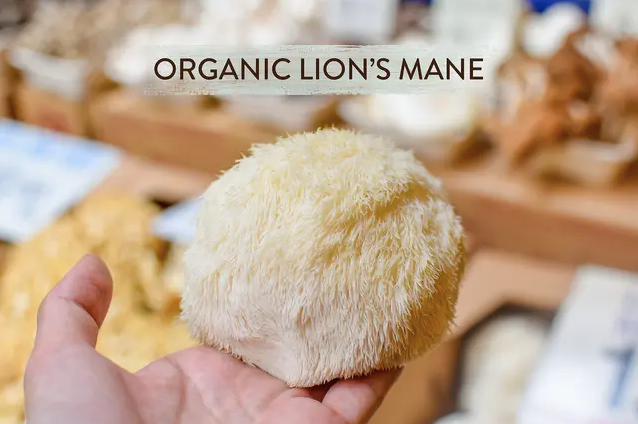 Organic Lions Mane